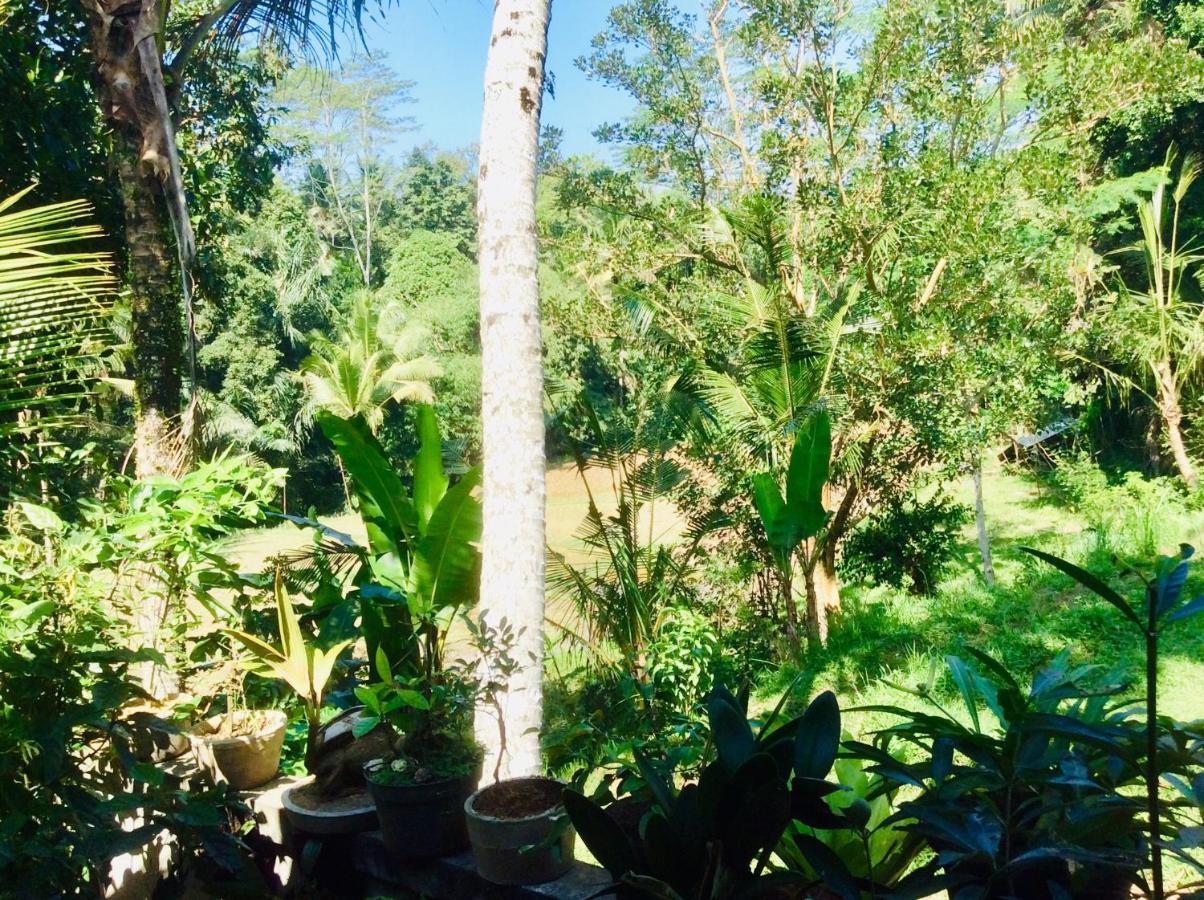 Rumah Irak Et Kadek Bali Ubud Buitenkant foto