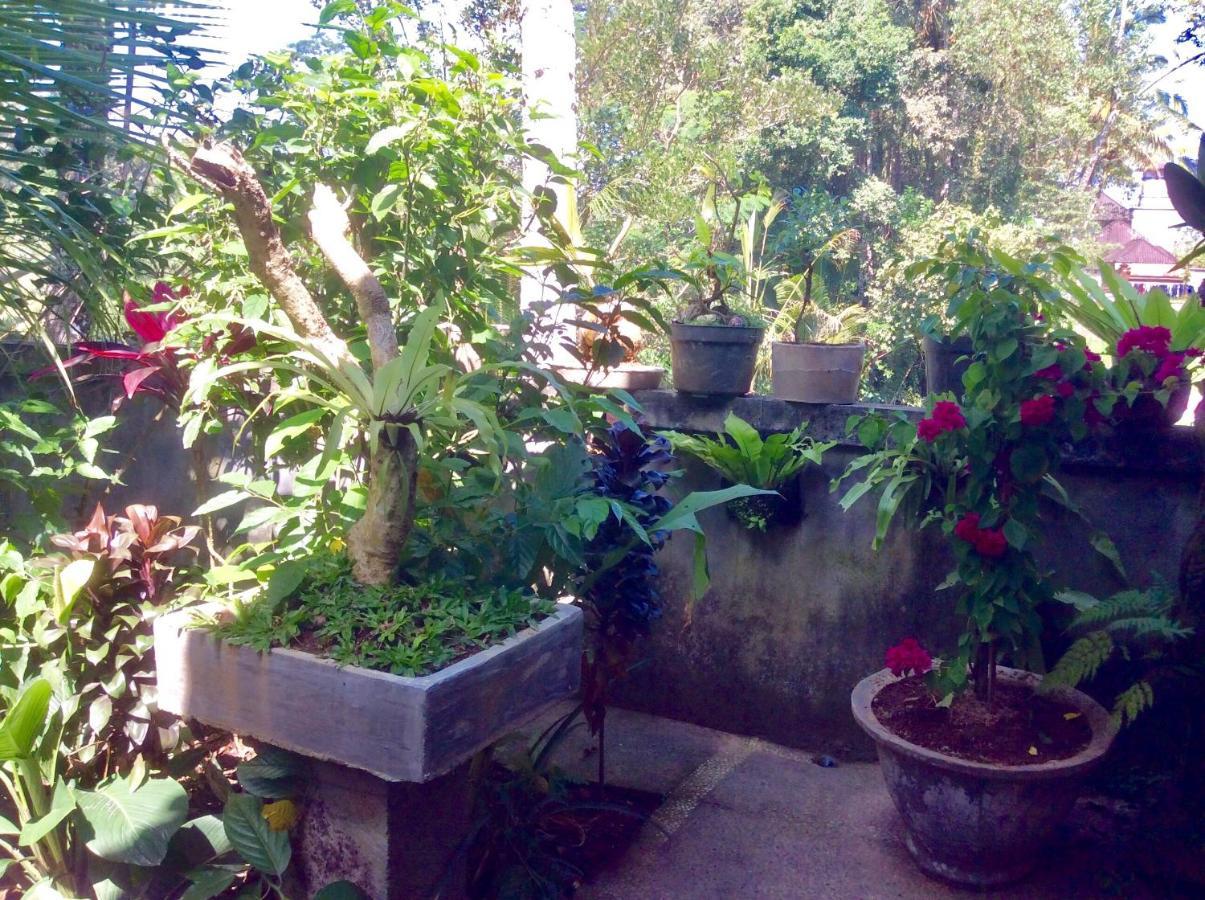 Rumah Irak Et Kadek Bali Ubud Buitenkant foto