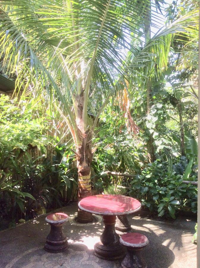Rumah Irak Et Kadek Bali Ubud Buitenkant foto
